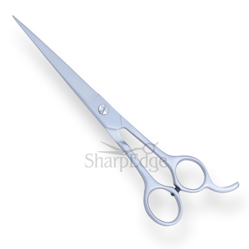 Professional Hair Dressing Scissors 